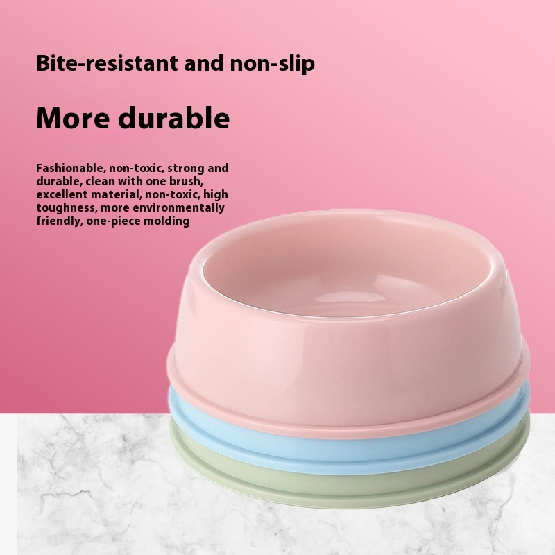 Elevated Slow Feeding Bowl