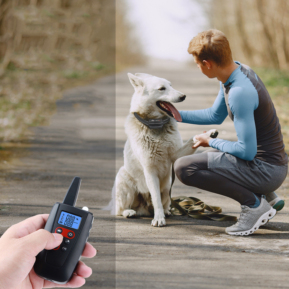 Sonic Bark Control Collar