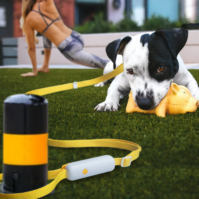 Auto-Retracting Adventure Leash